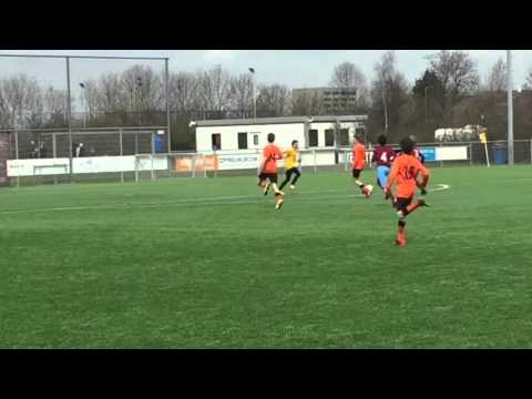 Overbos D5 - Vogelenzang D1