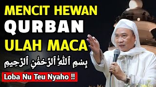 Download lagu ABUYA UCI - TATA CARA MENCIT HEWAN QURBAN ANU AFDHOL mp3