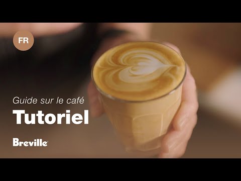 miniature vidéo
