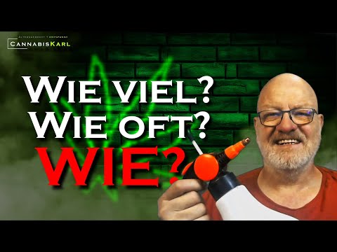 Richtig Gießen für Anfänger erklärt