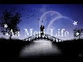 Aa Meri Life Lofi Salman Khan Kahi Pyar Na Ho Jaye Slowed Reverb Lofi Slowedandreverb