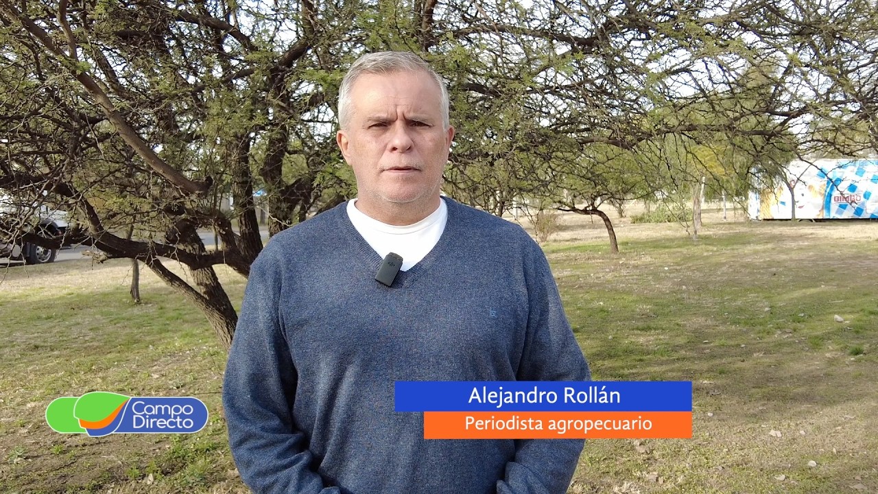 Campo Directo | Menos toneladas de Cuota Hilton para Córdoba
