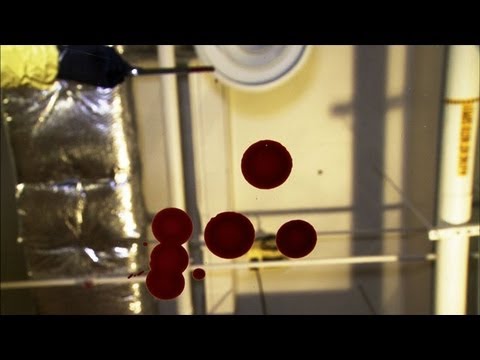 These Are the Three Main Categories of Bloodstain Pattern