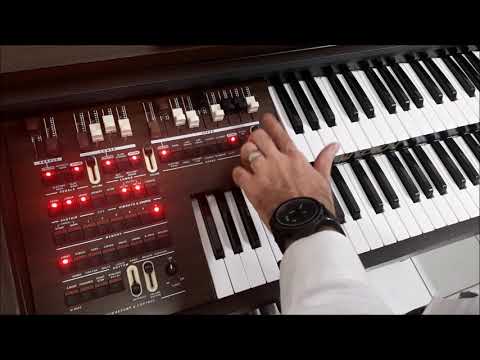 CASA DA ORGANISTA | Apresentação do Tokai MD 7