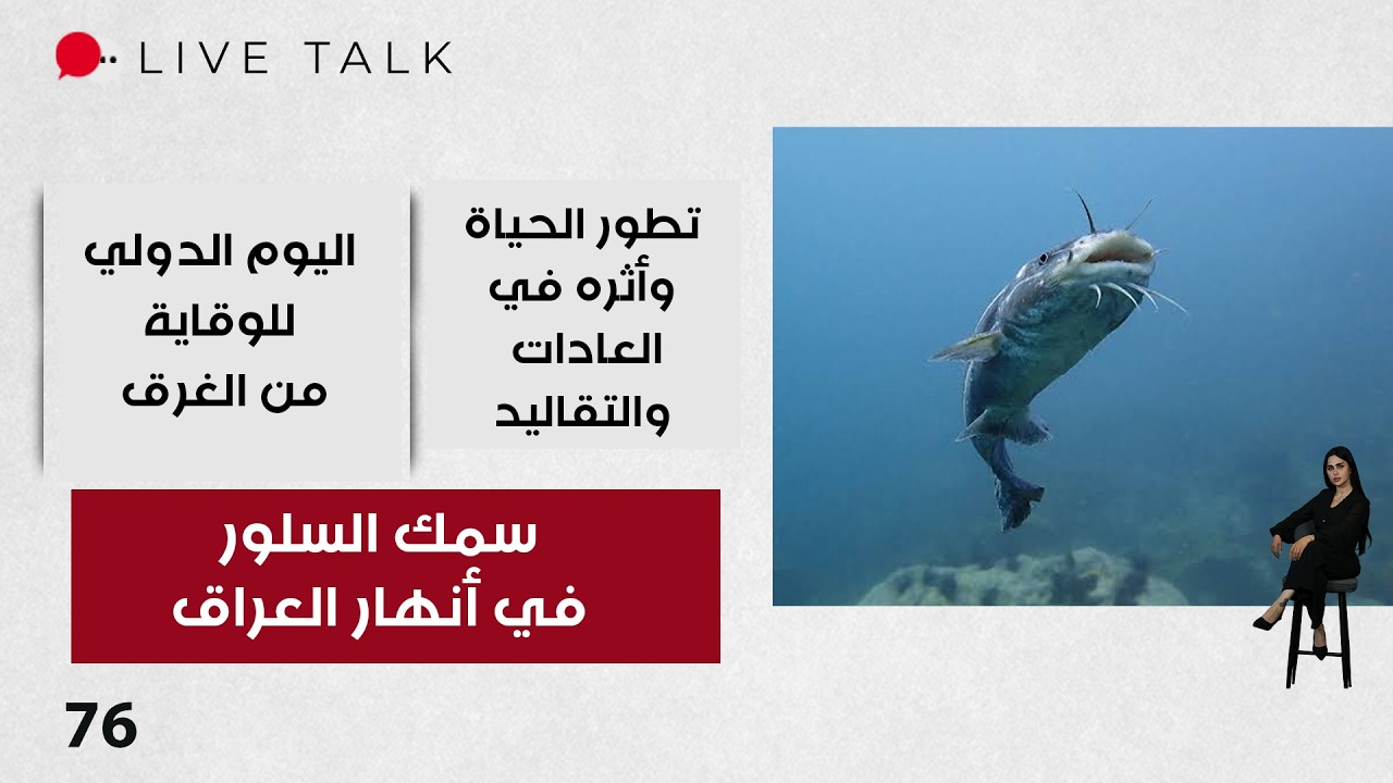 فيديو | سمك السلور في أنهار العراق - Live Talk م٢ - الحلقة ٧٦
