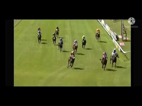 Holy warrior horse double victory