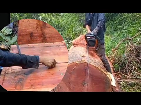 best idea Cutting hard wood,by chainsaw