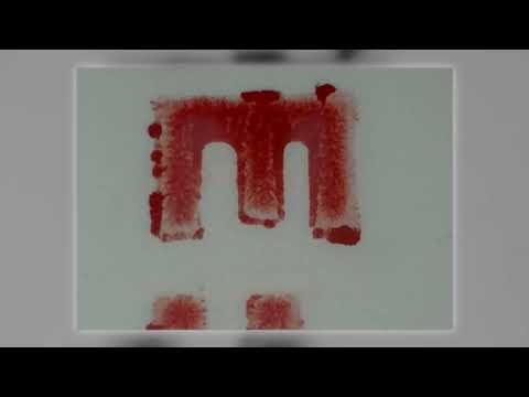 Romreise aus dem Jahr 1965