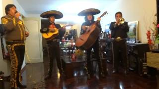 姪っ子の誕生日パーティーにマリアッチがやって来た！１