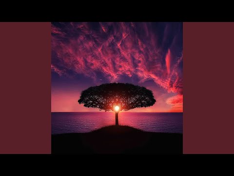 Tropical Paradise Vlog