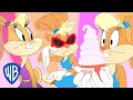 Looney Tunes The Amazing Lola Bunny WB Kids