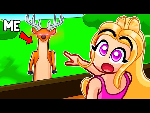 We Played Oh Deer…