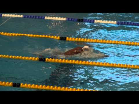 Simon Sjödin, 400 Me, final, SM/JSM 2013 (25m)