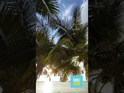 Relaxing Beaches | #shorts #beach 🏖