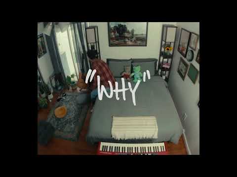 Jordan Tariff - Why (Official Music Video)