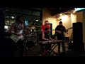 Mr Capgras Will Wood And The Tapeworms Live At Levels In Scranton