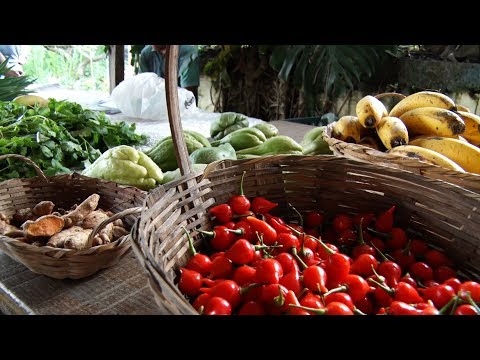 Feiras de agricultura familiar de Teresópolis ajudam a valorizar trabalho do campo