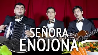 Señora señora - Denisse de Kalafe (PARODIA)