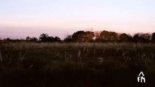 Chericoke & MeLo-X - The Garden of Eden (Maths Time Joy Remix)