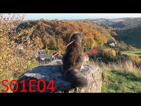 Hiking with Benek The Norwegian Forest Cat - at the edge [S01E04]
