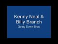 Kenny Neal & Billy Branch - Going Down Slow