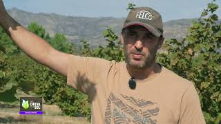 Reportagem Faça Chuva Faça Sol sobre a produção de frutos secos