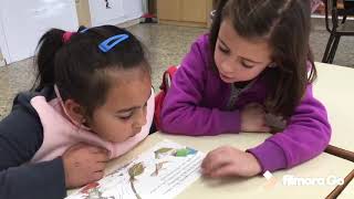 LECTURA COMPARTIDA