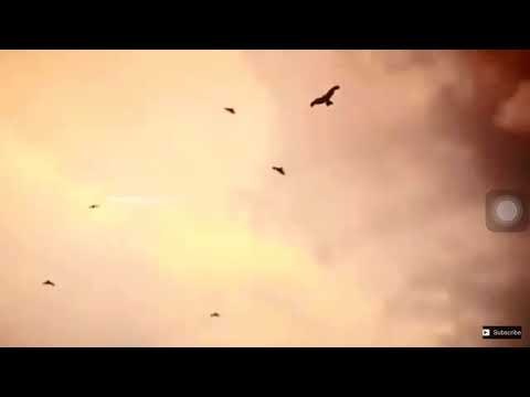 Serhat Durmus - Hislerim (ft. Zerrin)