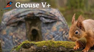 Red Squirrel Photography in Scotland | Grouse V+ | OM System OM-1 Photos & Video