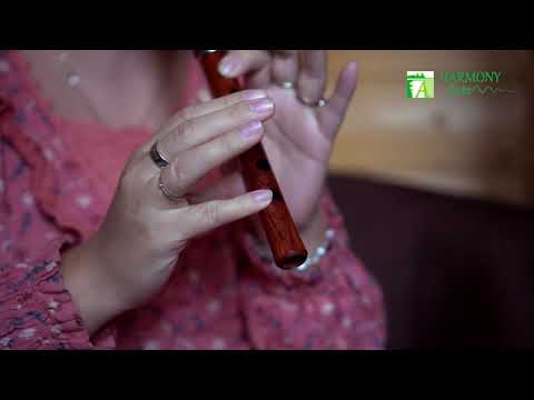 Whistle D rosewood + silver ring