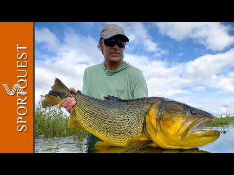 Pira Lodge | The Most Unique Golden Dorado Fishery In The World