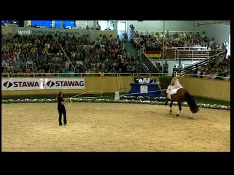 Voltigieren - Kür Sarah d'Auriol - CHIO Aachen 2009 - Nationenpreis - France - Rang 3