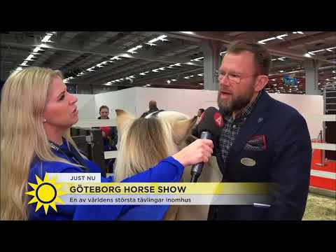 Direkt från Göteborg Horse Show: "Det har förändrats helt och hållet" - Nyhetsmorgon (TV4)