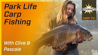 Аттрактант жидкий 250ml glm dy276 dynamite baits