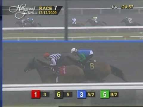 $100,000 Native Diver Handicap (GIII) - December 12, 2009