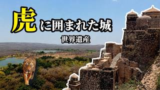虎の縄張りに残る世界遺産|インド・ランタンボール城