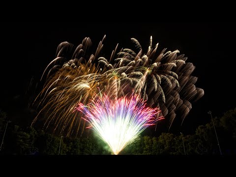 Blütenfest Wiesmoor Feuerwerk | Starkes Finale! | 4K
