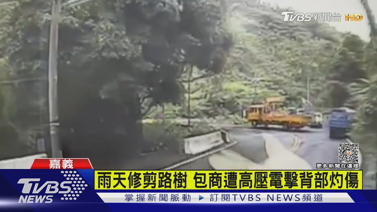 雨天修剪路樹　包商遭高壓電擊全身15%灼傷