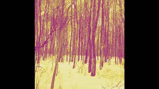 Don&#39;t Listen To The Wind