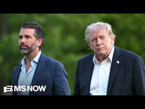 'Mar-a-Lago Mafia, The Epstein Class': Walkinshaw on those protecting Trump IRS audit immunity
