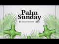 Happy Palm Sunday Palm Sunday Whatsapp Status Happy Blessed Palm Sunday Whatsapp Status