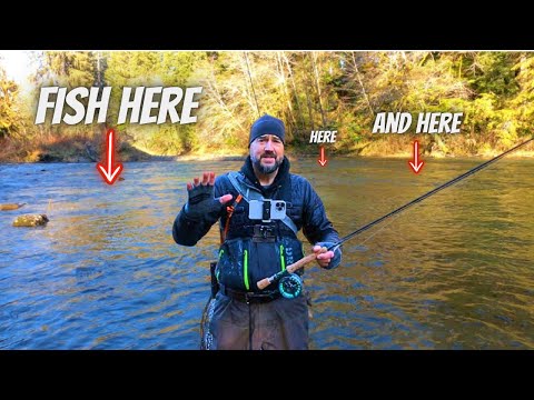 How to Find Trout in a River - Reading Water