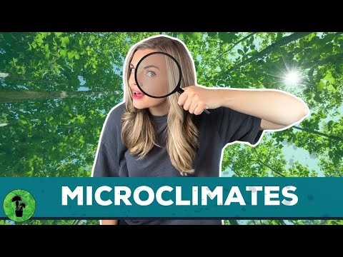 Microclimates | Contributing Factors & Examples