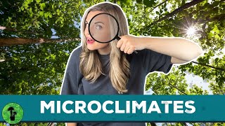 Microclimates | Contributing Factors & Examples