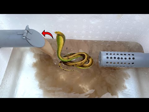 Nobody Know This PVC Pipe Trick! Great Idea To Prevent Drain Pipe From Being Clogged