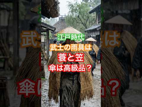 Samurai rain gear consisted of a straw raincoat and a straw hat; umbrellas were actually too expe...