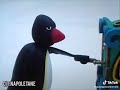 Pinguini Napoletani