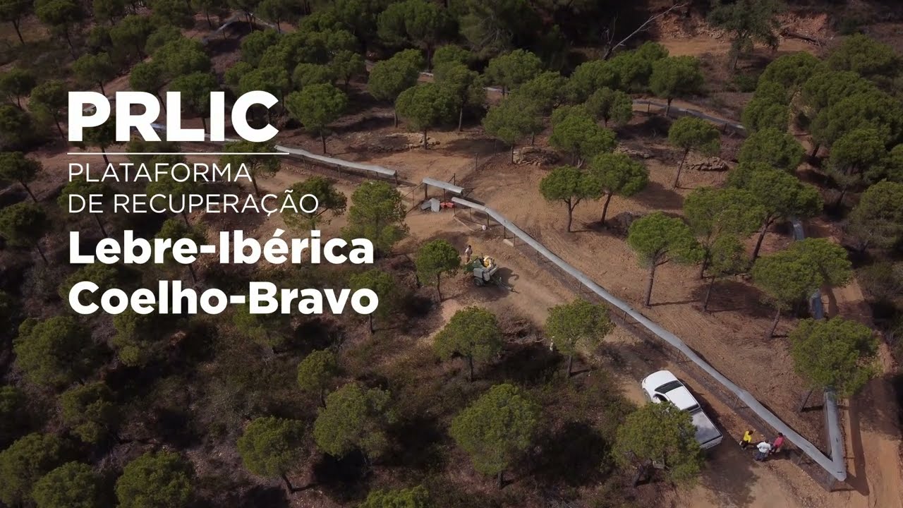 PRLIC (Projeto de Recuperação da Lebre-ibérica e Coelho-bravo)