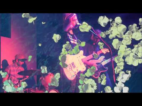 Fake Flowers "Synchronized Sinking" Live @ The Mammal Gallery
