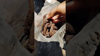Extremely rusty chain
